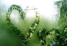 [英超]萨拉赫创纪录 利物浦主场胜热刺.